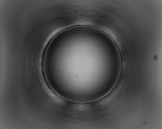 X0000101960947200807181037