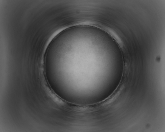 X0000101960948200807181037