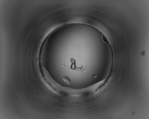 X0000101960949200807181037