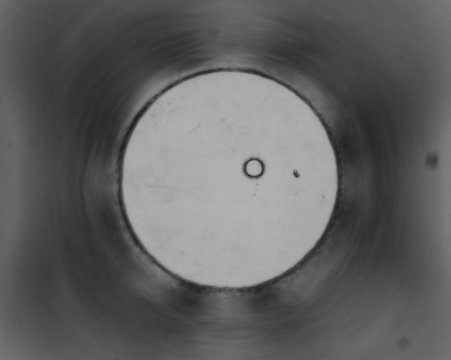 X0000101960950200807181037