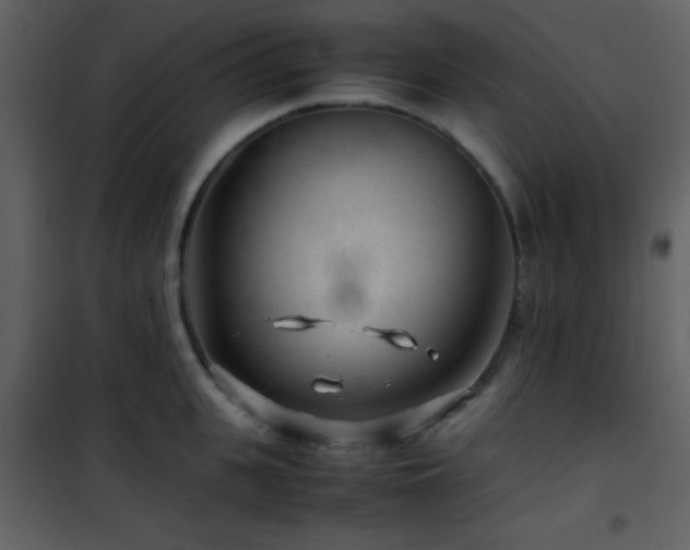 X0000101960951200807181037