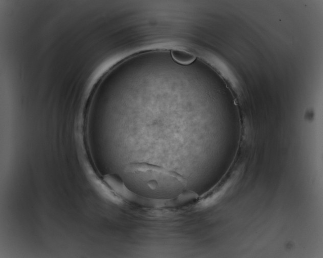 X0000101960952200807181037