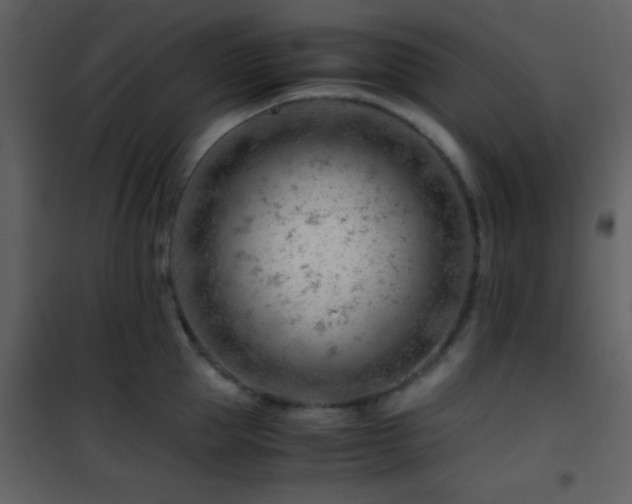 X0000101960953200807181037