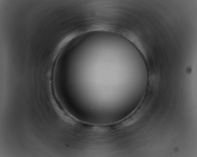 X0000101960954200807181037
