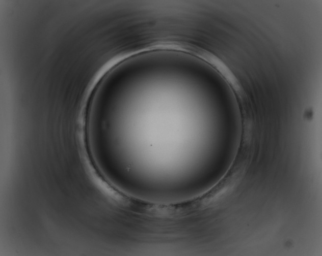 X0000101960955200807181037