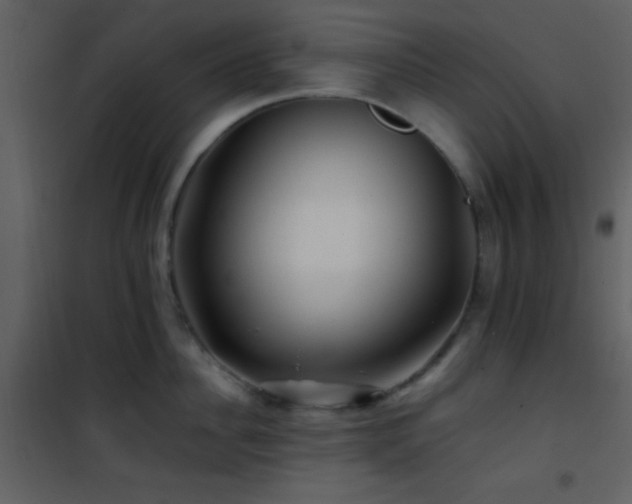 X0000101960956200807181037