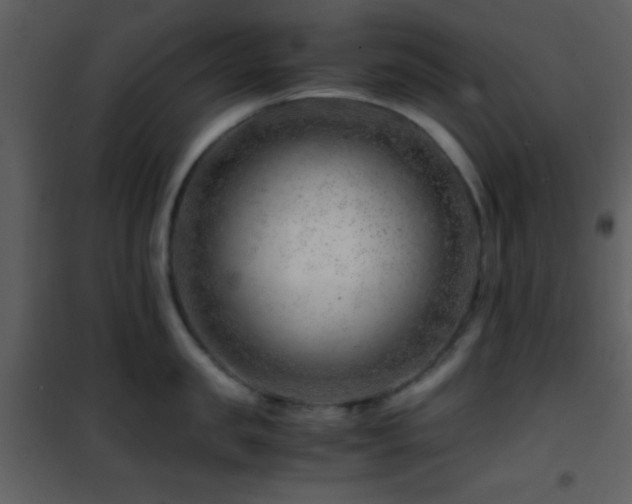 X0000101960957200807181038