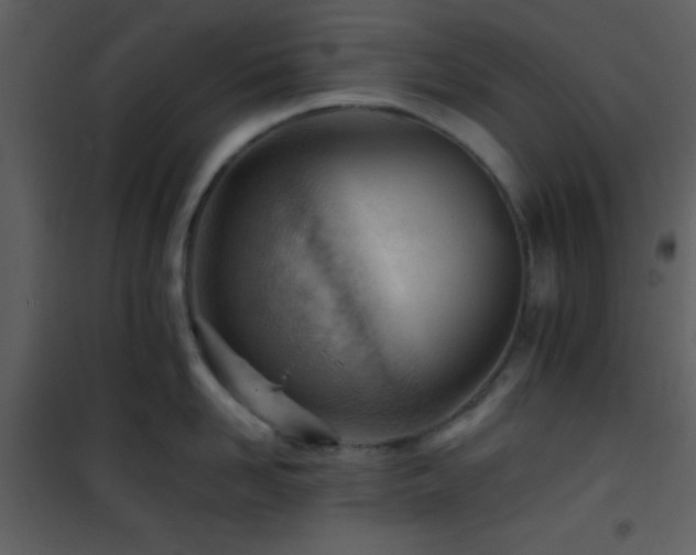 X0000101960958200807181038