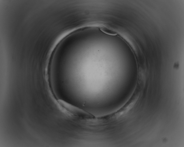 X0000101960959200807181038