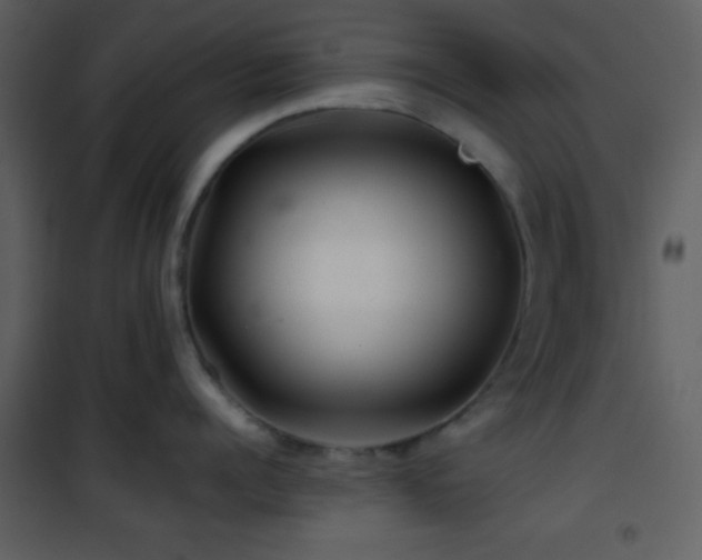 X0000101960960200807181038