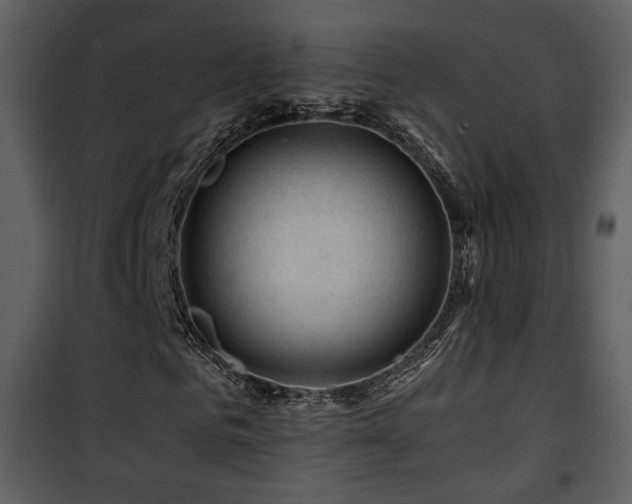 X0000101960961200807181037