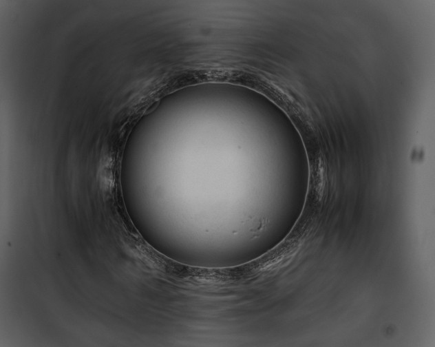 X0000101960962200807181037