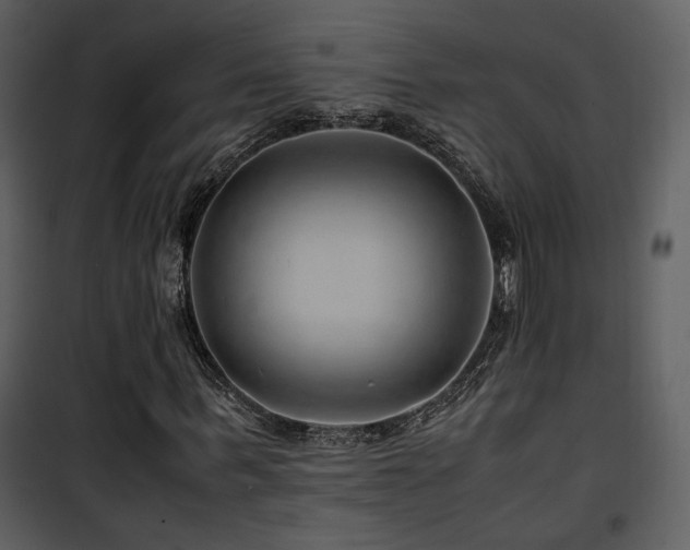 X0000101960963200807181037