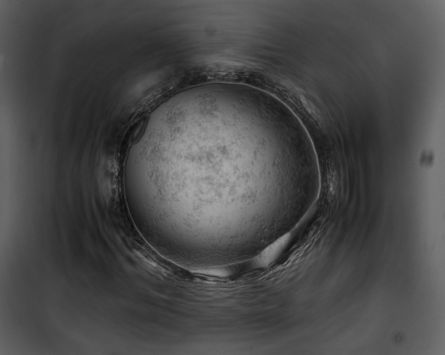 X0000101960964200807181037
