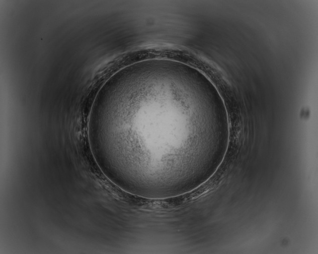 X0000101960966200807181036