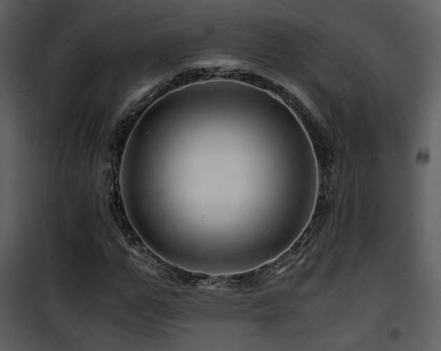 X0000101960967200807181036