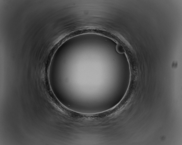 X0000101960969200807181036