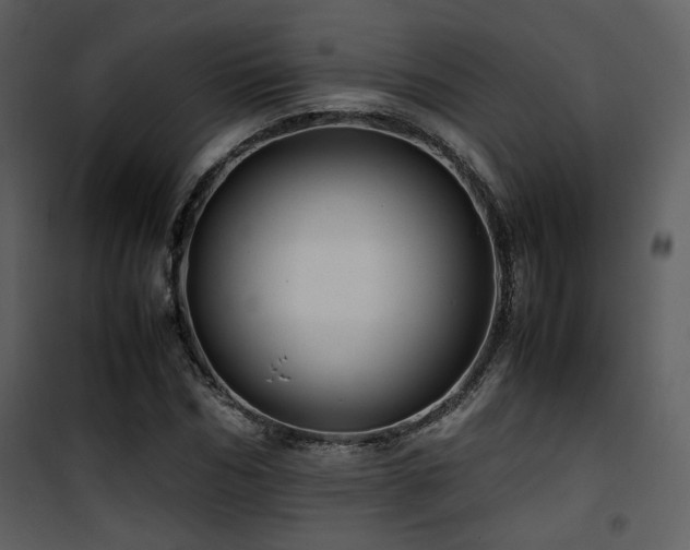 X0000101960970200807181036