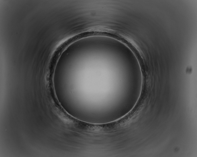 X0000101960971200807181036