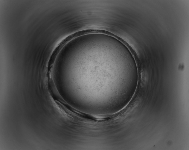 X0000101960972200807181036