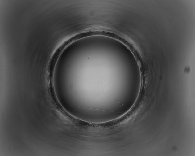 X0000101960973200807181036
