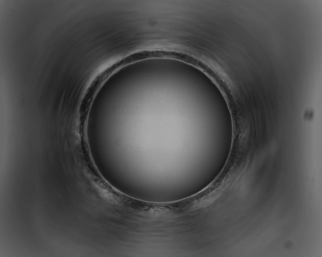 X0000101960974200807181036