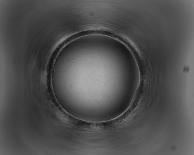 X0000101960975200807181036