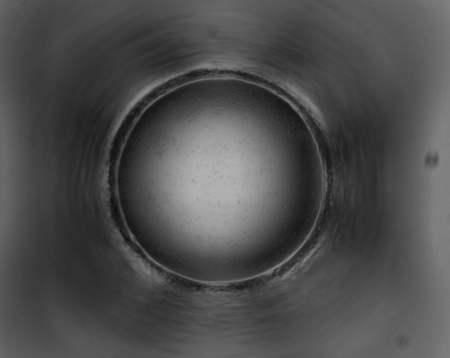 X0000101960976200807181036