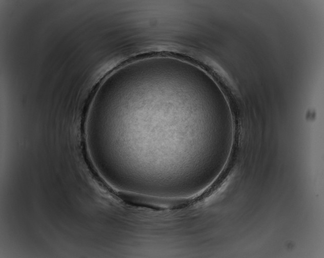 X0000101960977200807181036