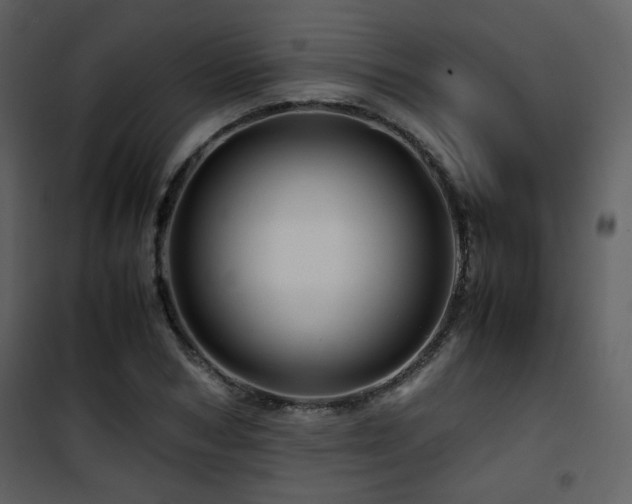 X0000101960978200807181036