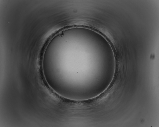 X0000101960979200807181036