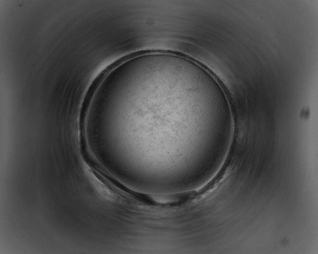 X0000101960980200807181036