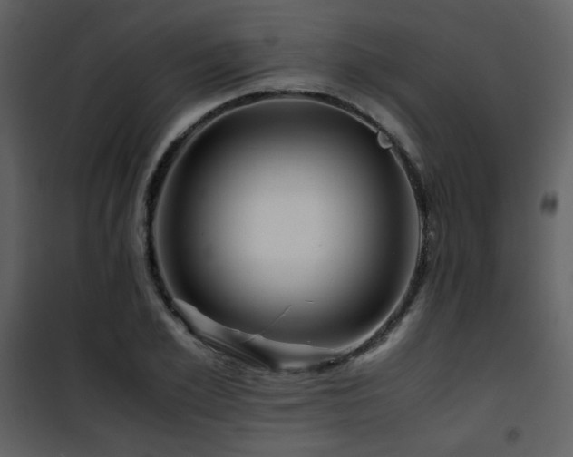 X0000101960981200807181036
