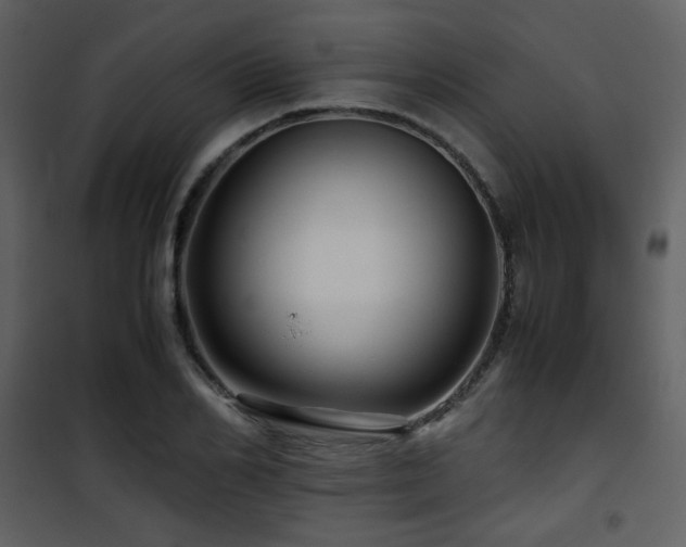 X0000101960982200807181036