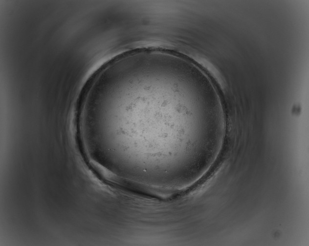 X0000101960983200807181036