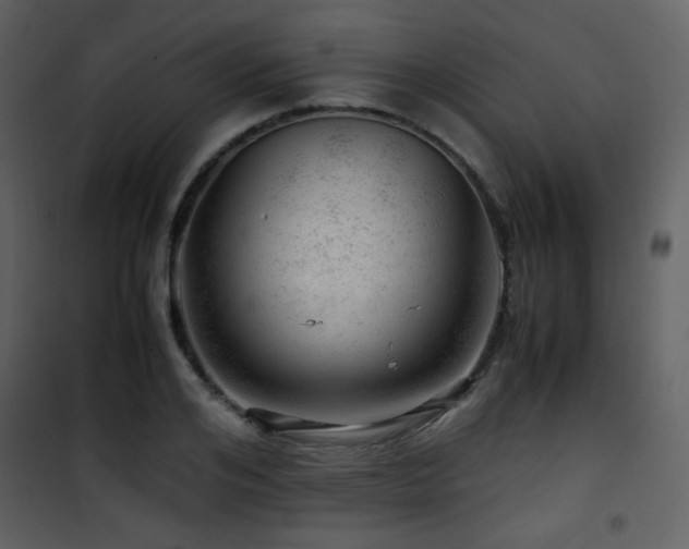 X0000101960984200807181036