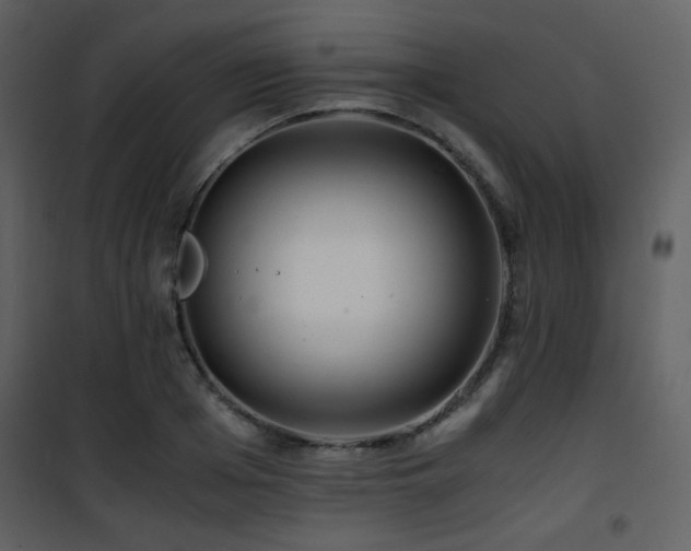X0000101960985200807181036