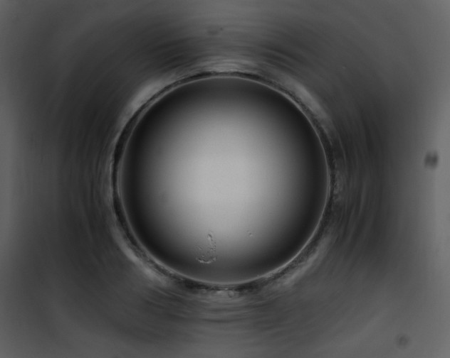 X0000101960986200807181036
