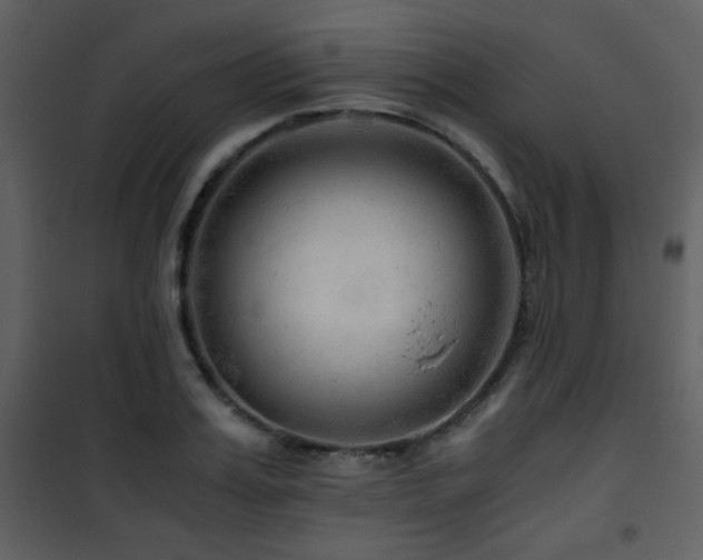 X0000101960987200807181036