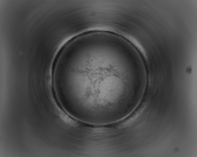 X0000101960988200807181036