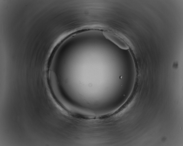 X0000101960989200807181036