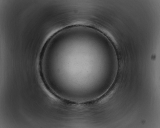 X0000101960991200807181036