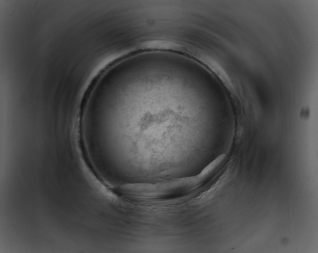 X0000101960992200807181036