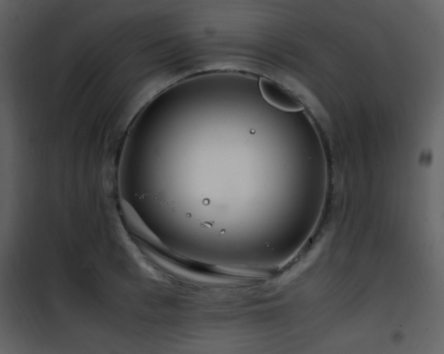 X0000101960993200807181036