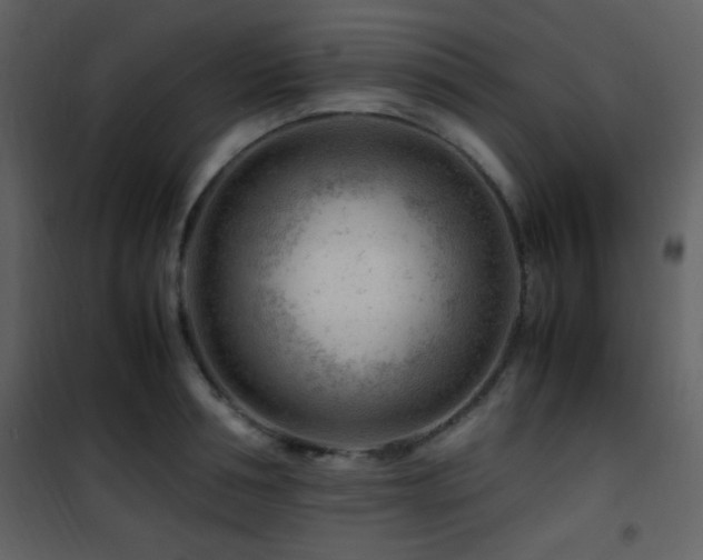 X0000101960994200807181036