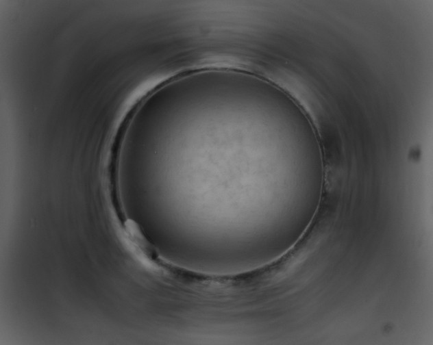 X0000101960995200807181036