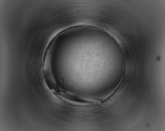 X0000101960996200807181036