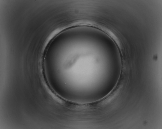 X0000101960997200807181036