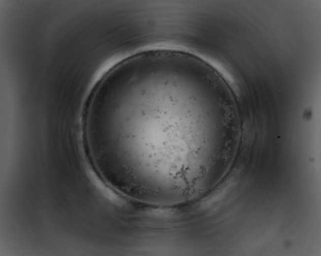 X0000101960998200807181036