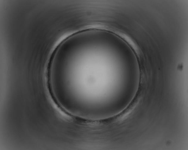 X0000101960999200807181036